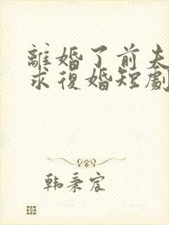 离婚了前夫哭着求复婚短剧