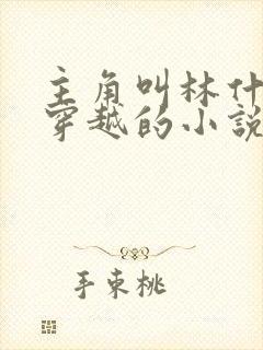 主角叫林什么的穿越的小说