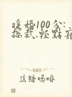 暖婚100分:总裁,轻点宠小说