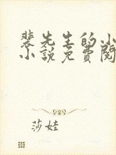 裴先生的小甜妻小说免费阅读