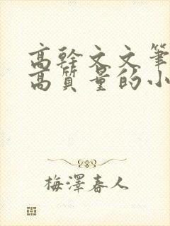 高干文文笔好的高质量的小说现代言情