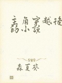 主角穿越后写书的小说