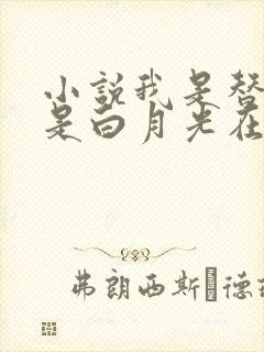 小说我是替身也是白月光在线看全本