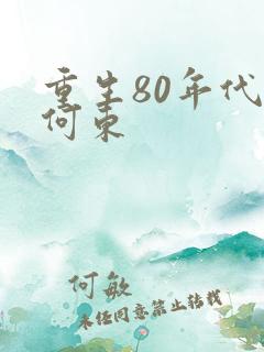 重生80年代之何东