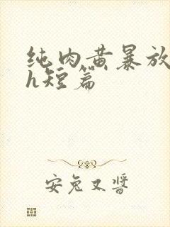 纯肉黄暴放荡高h短篇