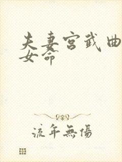 夫妻宫武曲贪狼女命