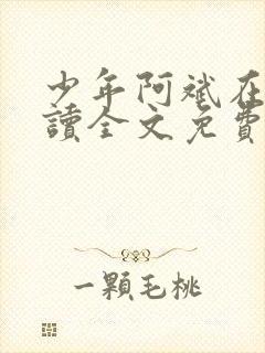 少年阿斌在线阅读全文免费