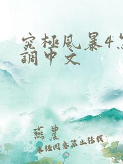 究极风暴4怎么调中文