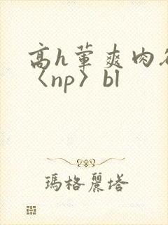 高h荤爽肉欲文〈np〉bl