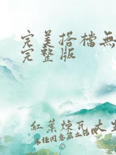 完美搭档无删除完整版