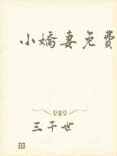 小娇妻免费观看