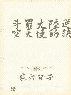 斗罗大陆逆转时空天使的抉择