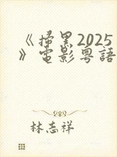 《扫黑2025》电影粤语在线观看
