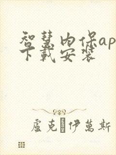 智慧内保app下载安装