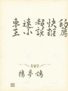 车速超快的双男主小说推荐