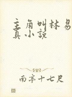 主角叫林易的修真小说