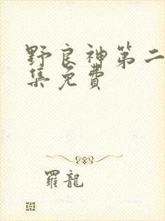 野良神第二季全集免费