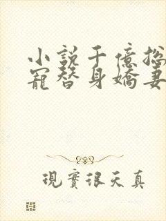 小说千亿总裁独宠替身娇妻