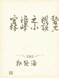 官场之权势滔天林峰小说免费阅读