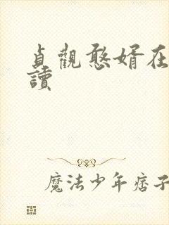 贞观憨婿在线阅读