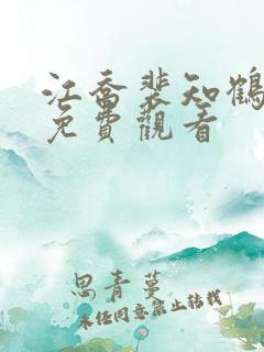 江乔裴知鹤短剧免费观看