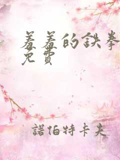 羞羞的铁拳观看免费