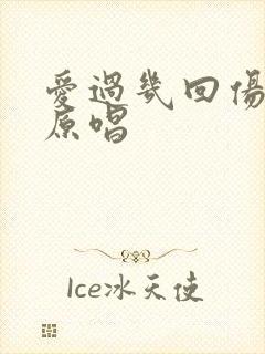 爱过几回伤几回原唱