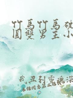 竹马竹马破镜重圆双男主小说推荐