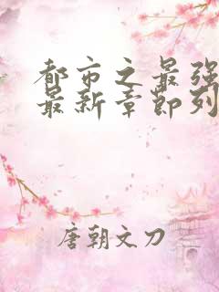 都市之最强狂兵最新章节列表