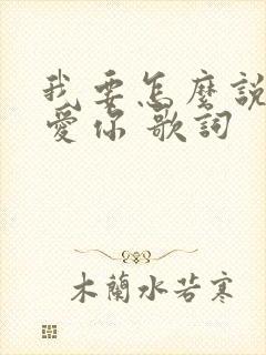 我要怎么说我不爱你 歌词