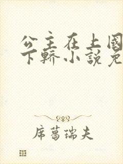 公主在上国师请下轿小说免费阅读