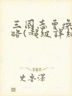 三国志曹操传攻略(超级详细)