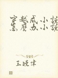 穿越成小说反派怎么办小说