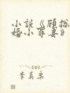 小说《顾总的隐婚小罪妻》