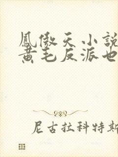 凤傲天小说里的黄毛反派也想幸福免费