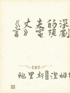 《丈夫的深情谎言》电视剧