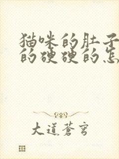 猫咪的肚子鼓鼓的硬硬的怎么了