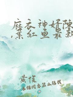 麻衣神婿陈黄皮,叶红鱼最新章节目录