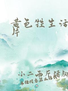 黄色牲生活一级片