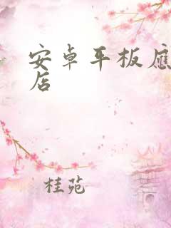 安卓平板应用商店