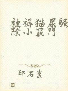 被褥猫尿骚味去除小窍门