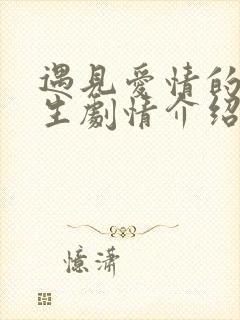 遇见爱情的利先生剧情介绍全集