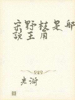 宋野枝是哪本小说主角