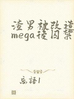 渣男被改造成omega后囚禁免费阅读