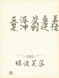 反派魔尊弟子都是冲刺逆徒