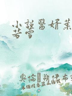 小说医婿叶凡唐若雪