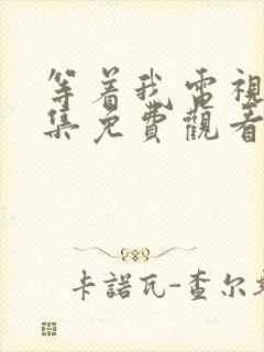 等着我电视剧全集免费观看