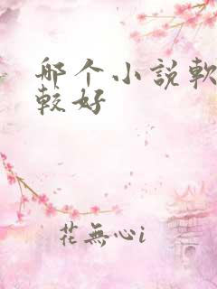 哪个小说软件比较好