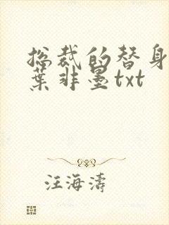 总裁的替身前妻叶非墨txt