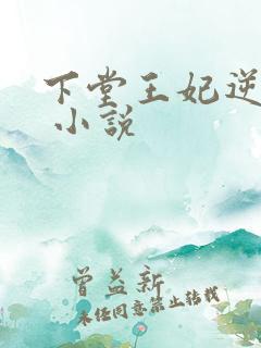 下堂王妃逆袭记 小说